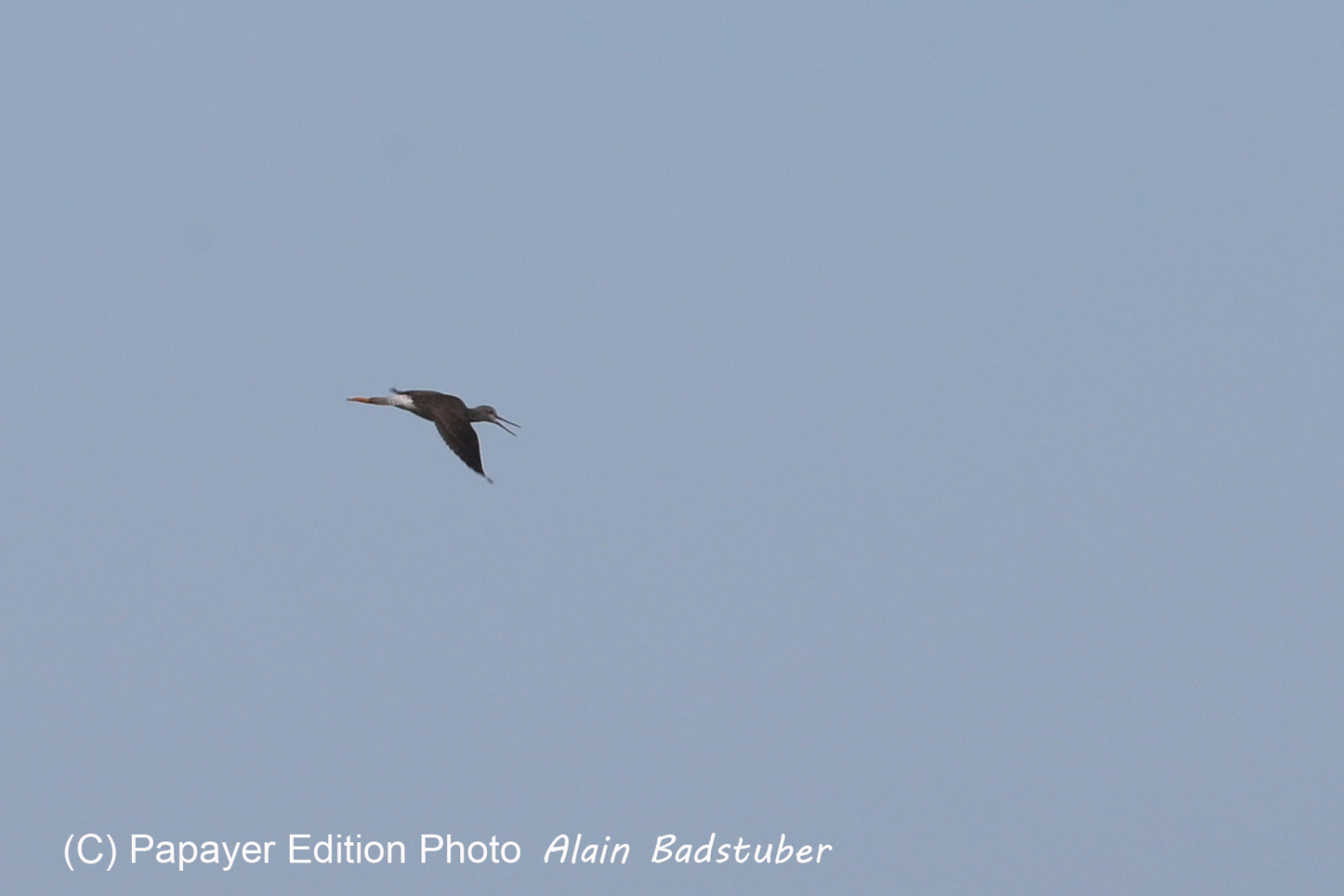 Deuxième séjour à Sarteneja, Bélize, Novembre - Décembre 2021