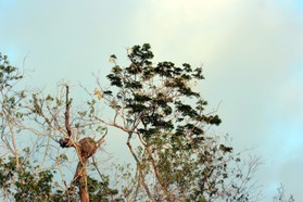 Images_Belize_2011_318