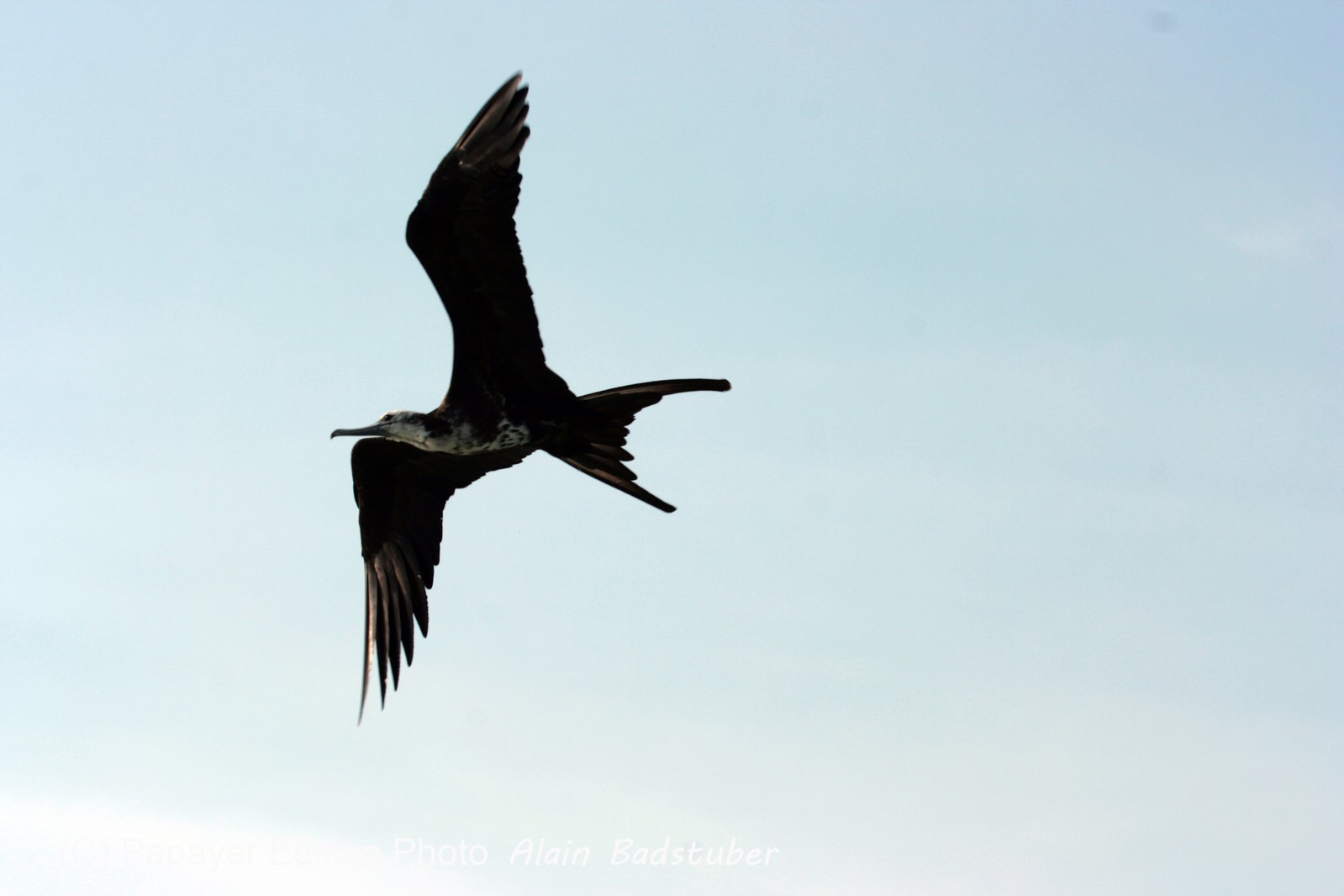 Images_Belize_2011_401