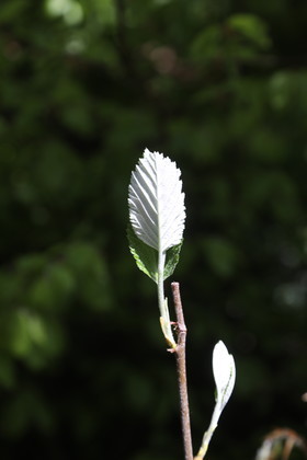 Ma balade du premier mai 2019