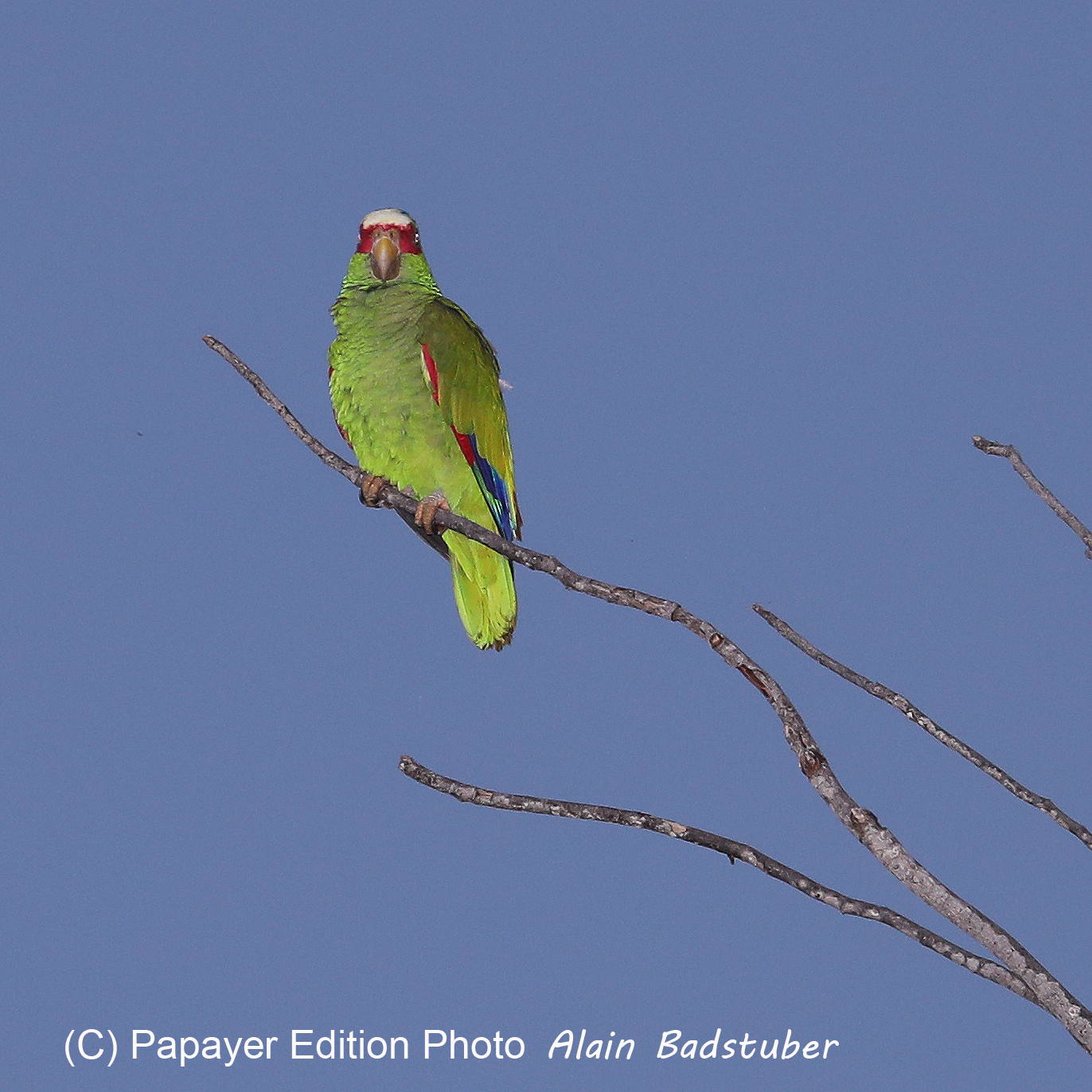 Deuxième séjour à Sarteneja, Bélize, Novembre - Décembre 2021