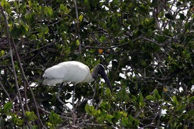 Images_Belize_2011_110