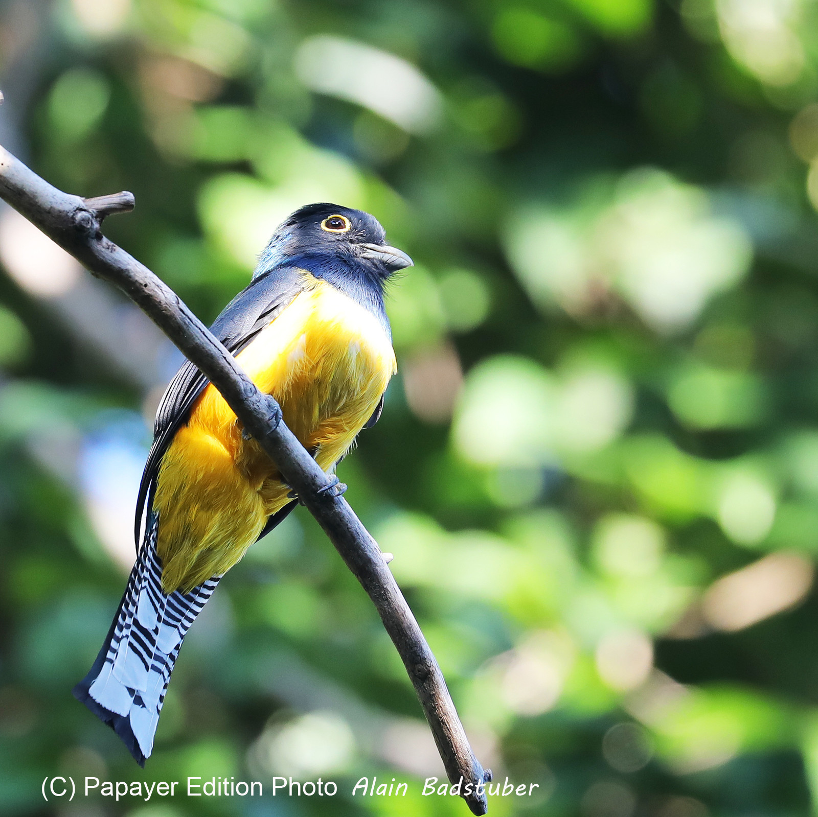 Deuxième séjour à Sarteneja, Bélize, Novembre - Décembre 2021
