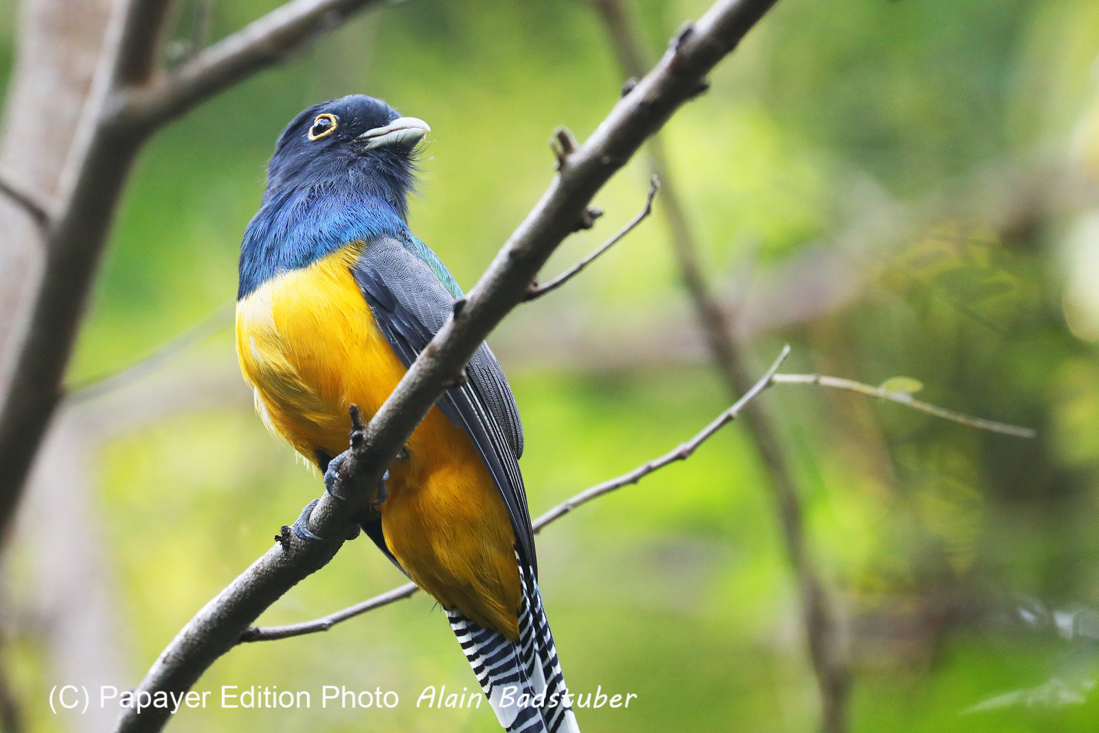 Deuxième séjour à Sarteneja, Bélize, Novembre - Décembre 2021