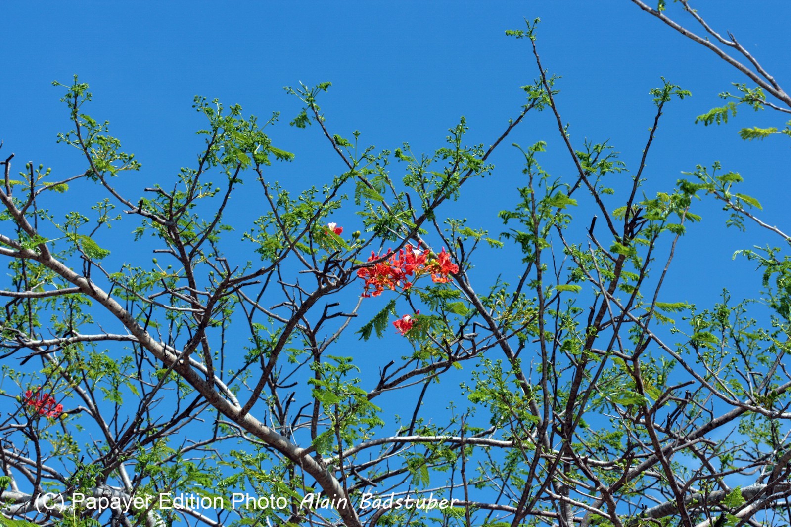 Images_Belize_2011_327