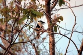 Images_Belize_2011_333