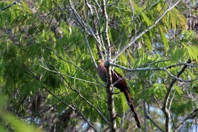 Images_Belize_2011_367