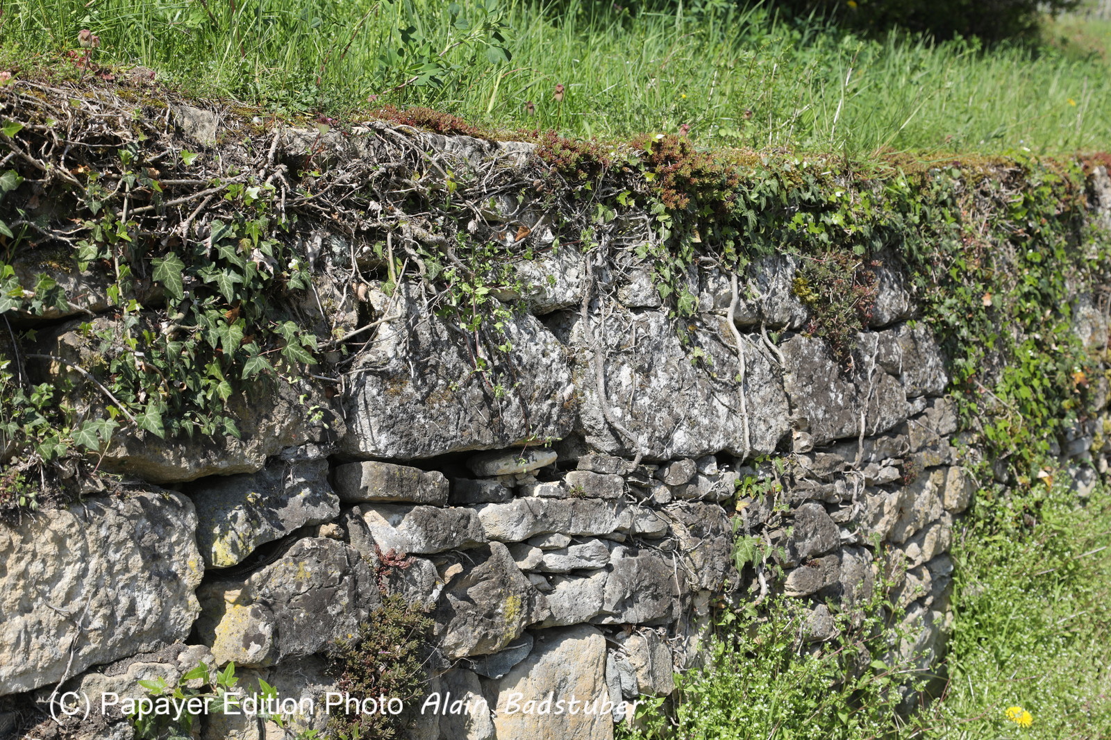 Ma balade du premier mai 2019 Ma balade du premier mai 2019