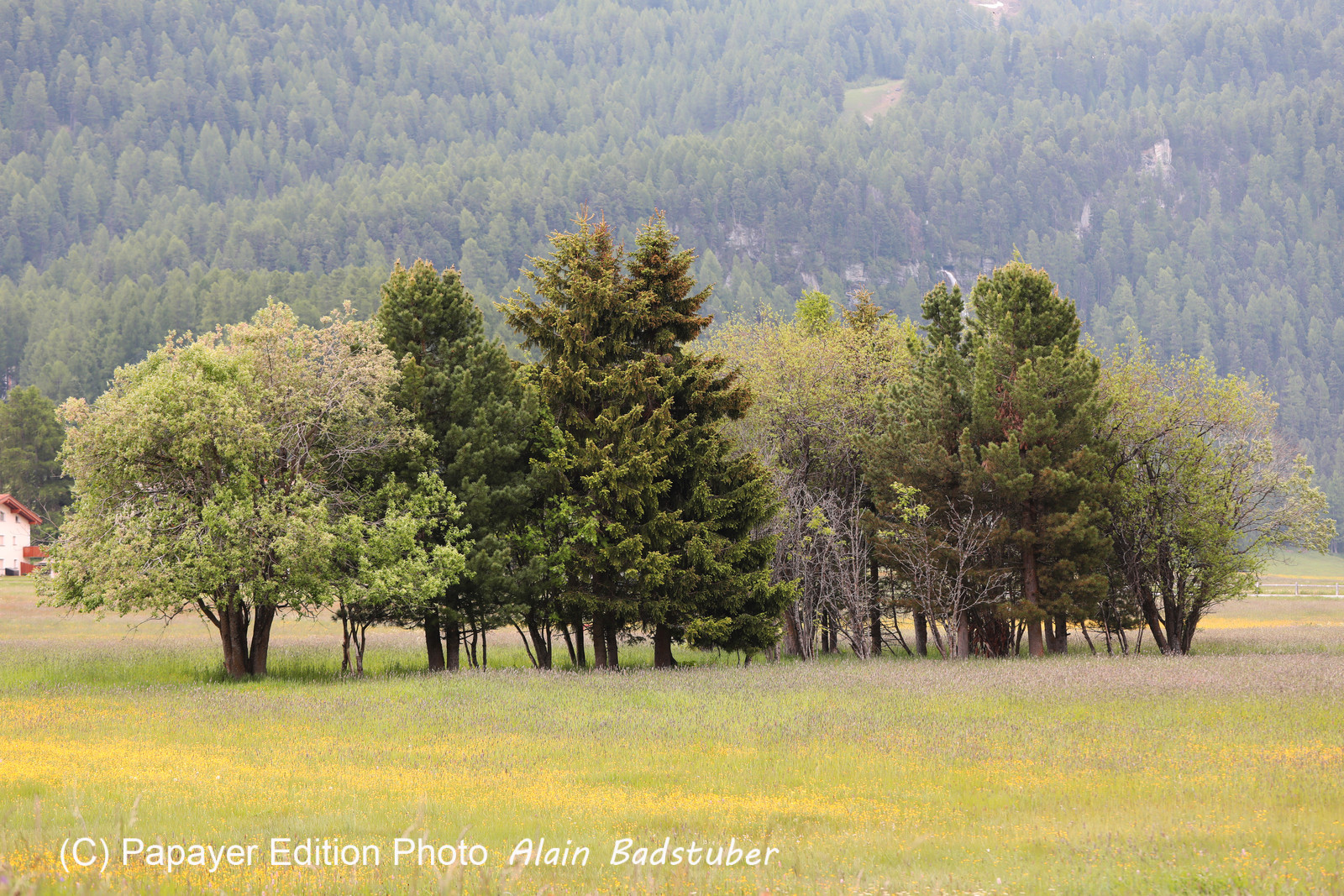 Encore une journée non favorable à la pratique de WingFoil Encore une journée non favorable à la pratique de WingFoil