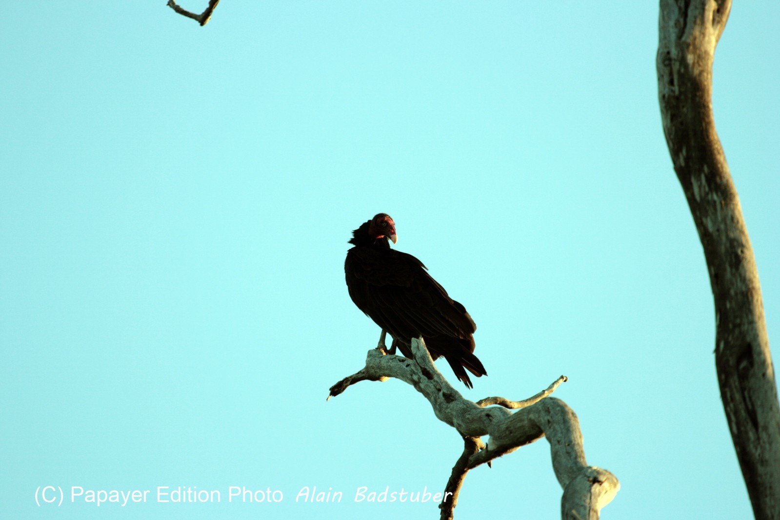 Images_Belize_2011_353