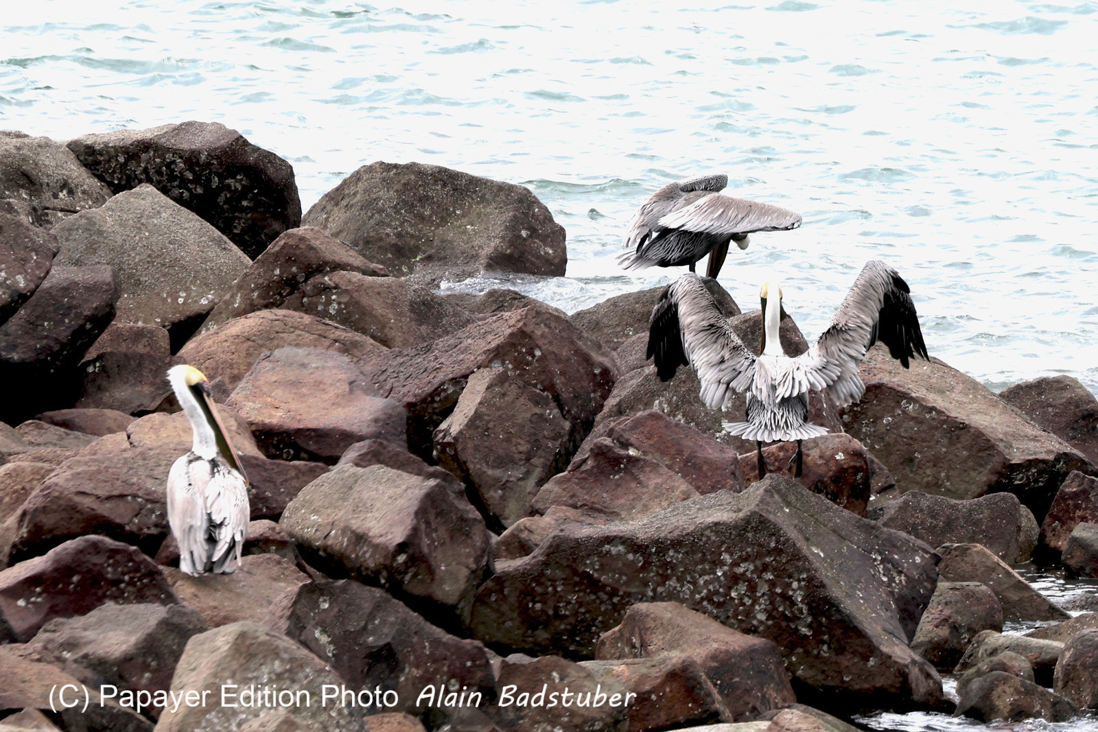 Punta Culebra Nature Center
