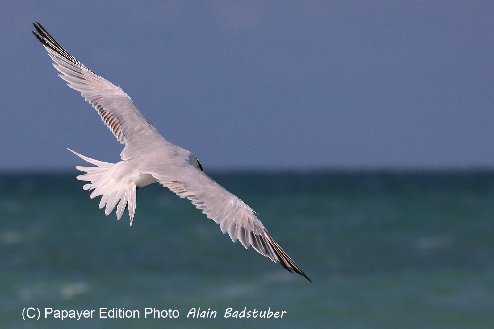 Deuxième séjour à Sarteneja, Bélize, Novembre - Décembre 2021