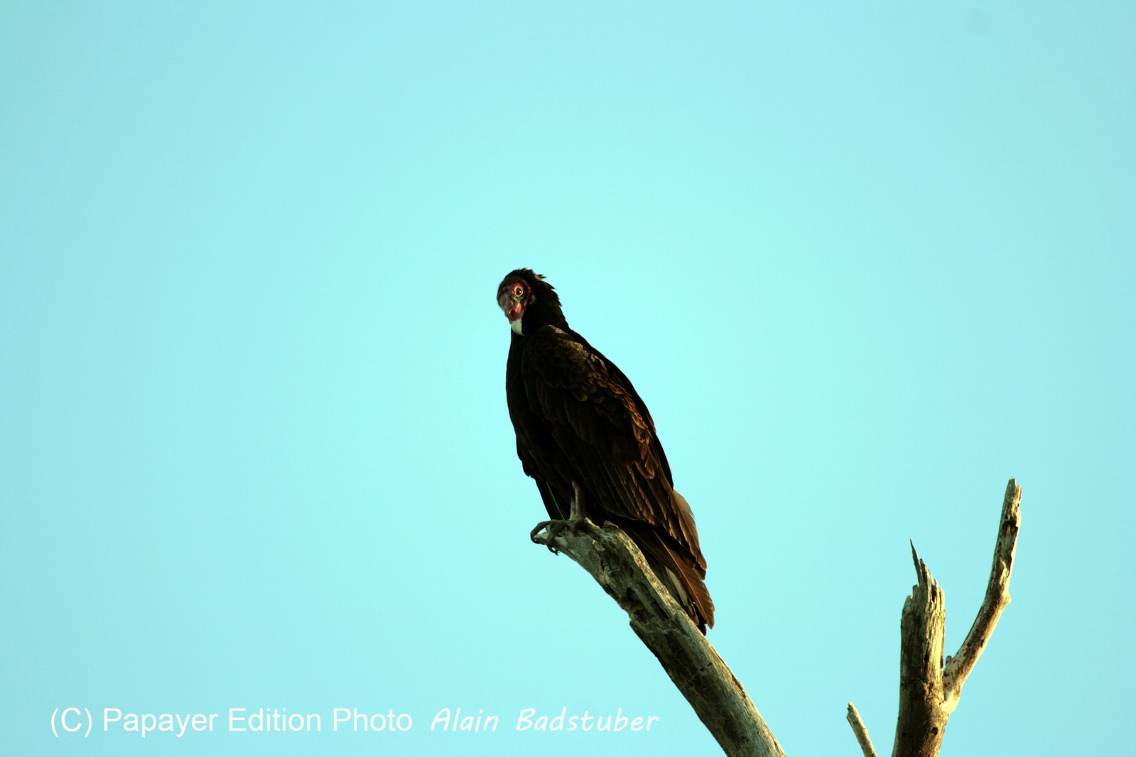 Images_Belize_2011_354