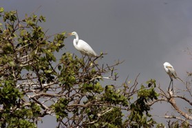 Images_Belize_2011_118