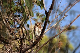 Images_Belize_2011_335