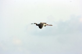 Images_Belize_2011_214