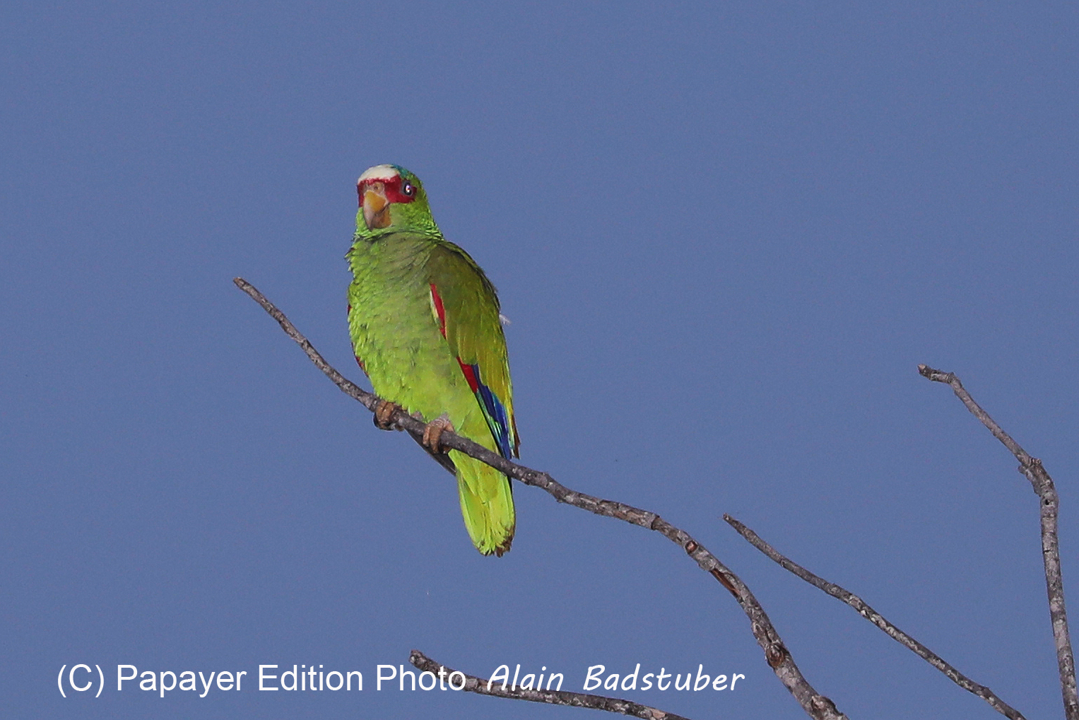 Deuxième séjour à Sarteneja, Bélize, Novembre - Décembre 2021