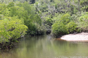 L'Australie à Cow Bay et Cape Tribulation en 2017