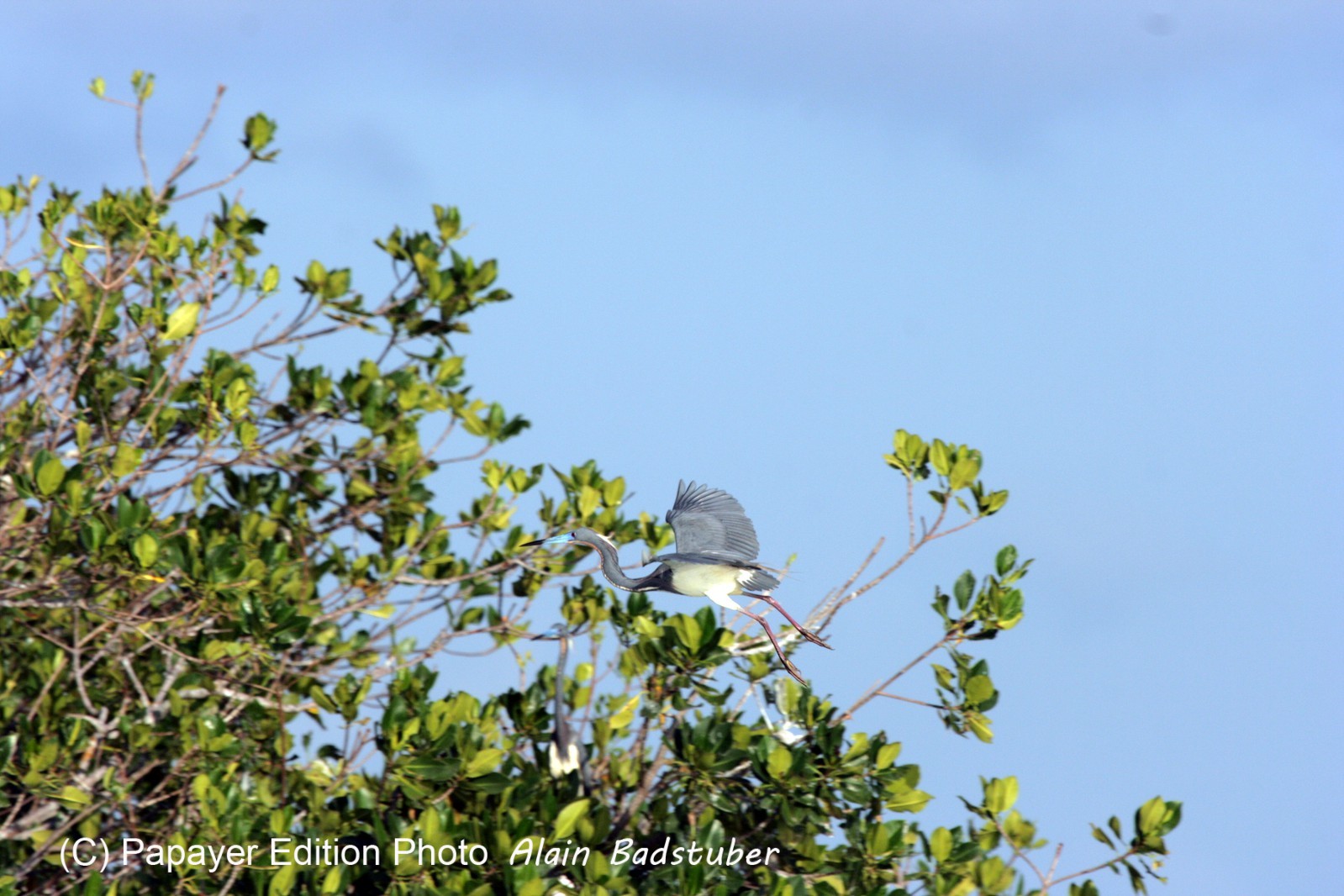 Images_Belize_2011_217