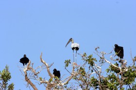 Images_Belize_2011_218