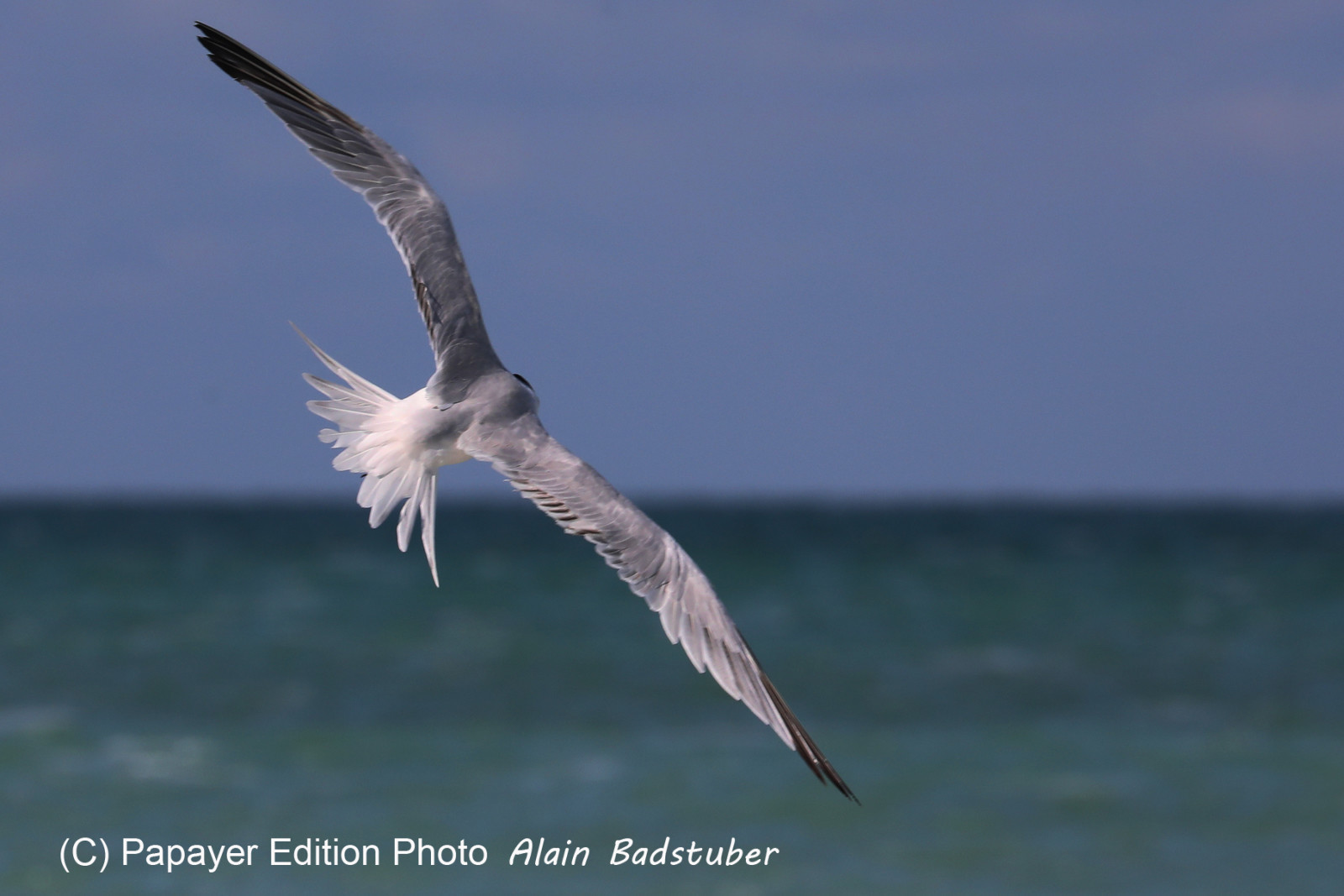 Deuxième séjour à Sarteneja, Bélize, Novembre - Décembre 2021
