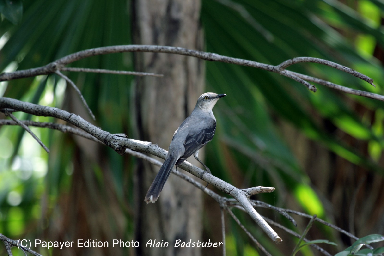 Images_Belize_2011_241