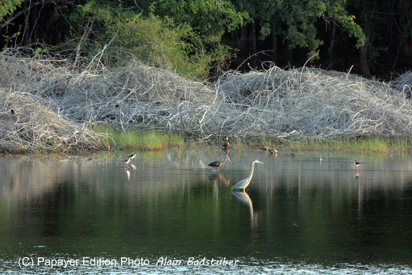 Images_Belize_2011_296