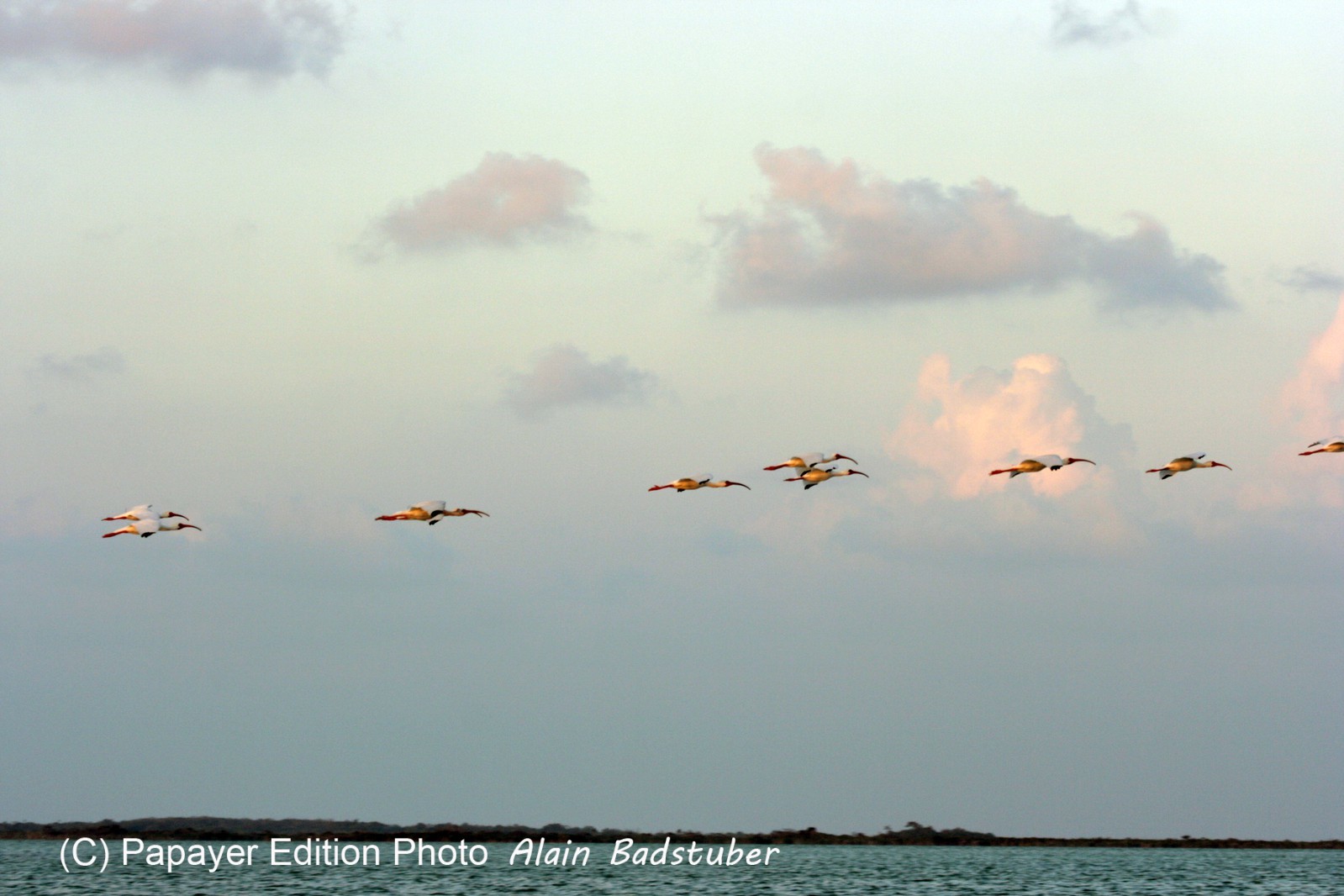 Images_Belize_2011_223