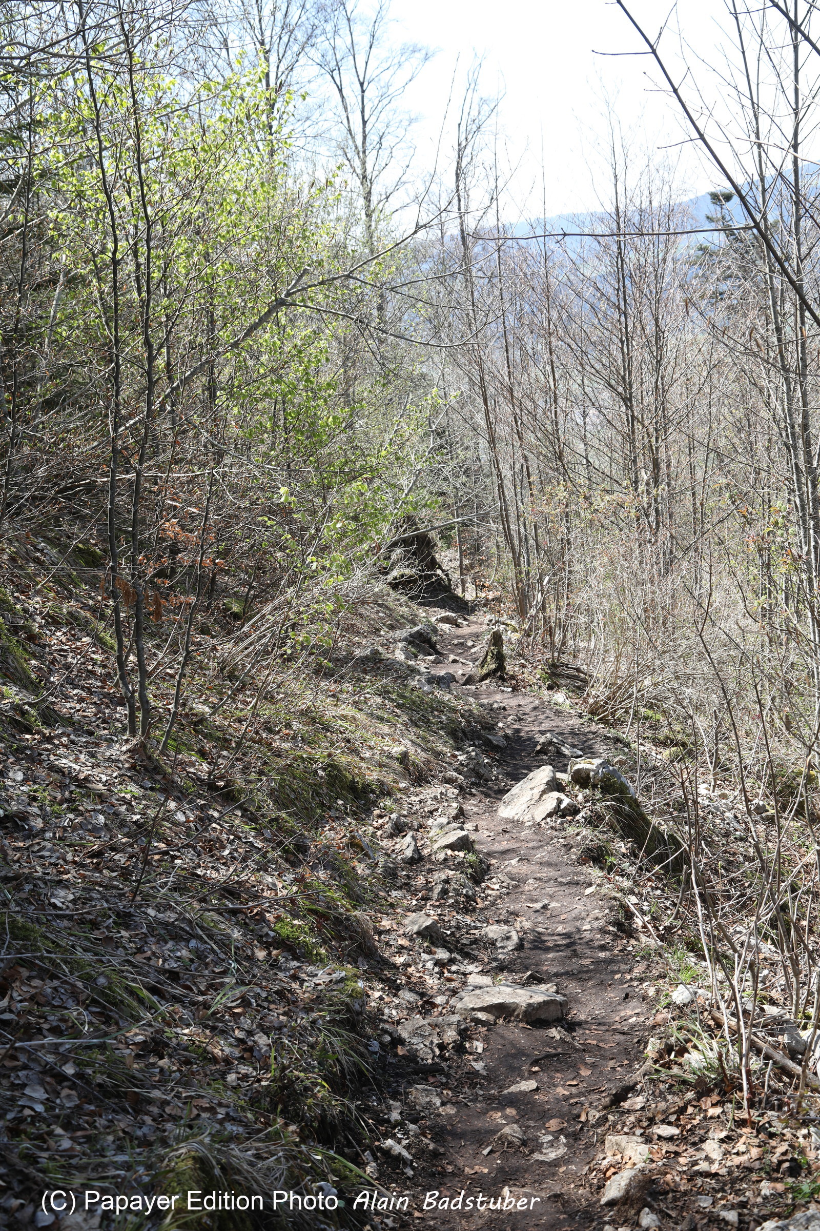 Ma balade du premier mai 2019 Ma balade du premier mai 2019