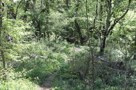 Ma balade du premier mai 2019