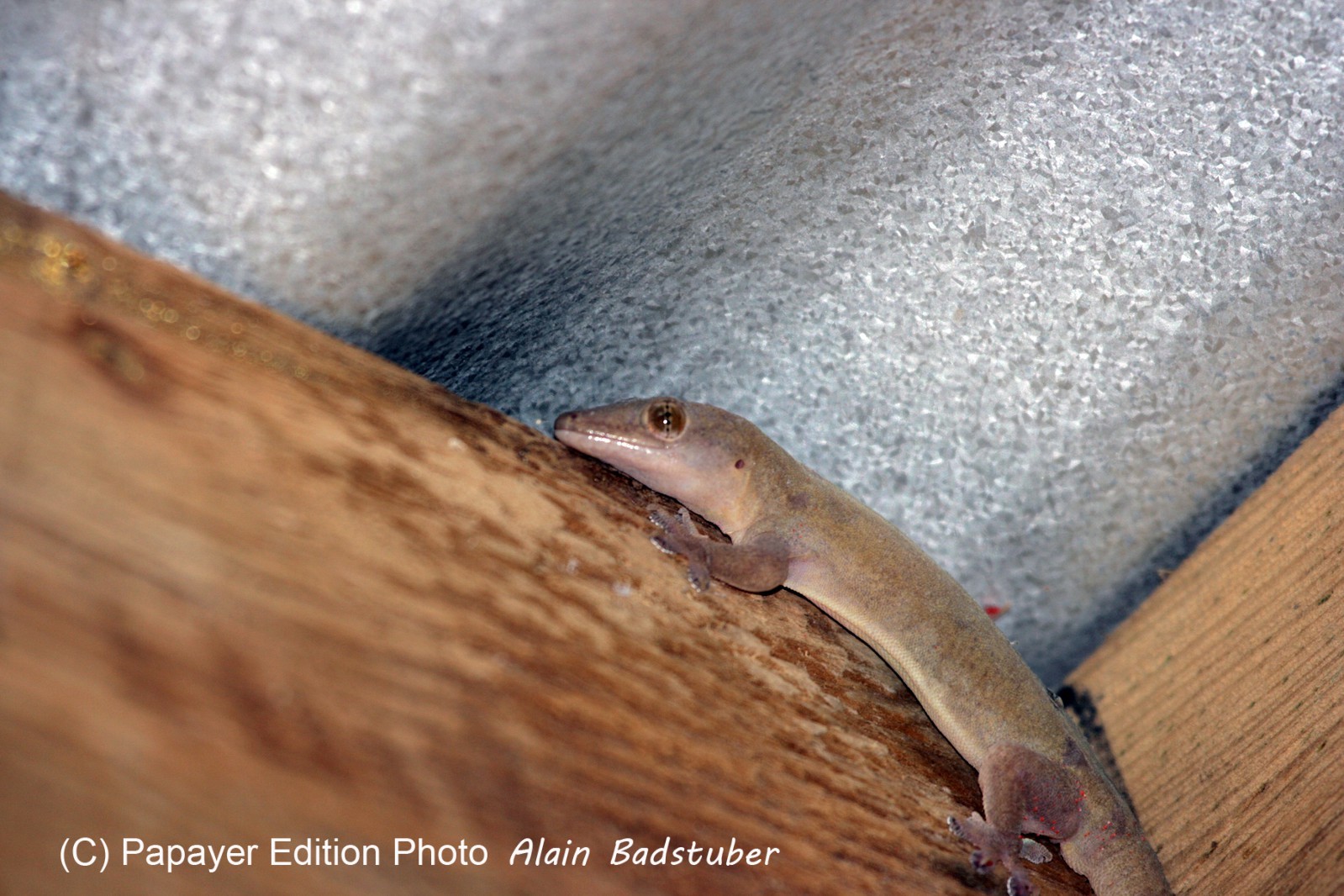 Images_Belize_2011_006