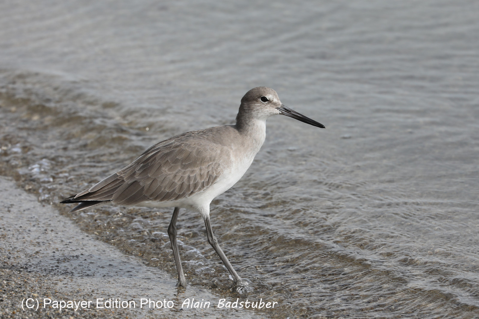 Hopkins, Octobre-Novembre 2021