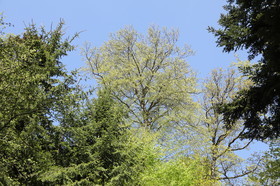 Ma balade du premier mai 2019