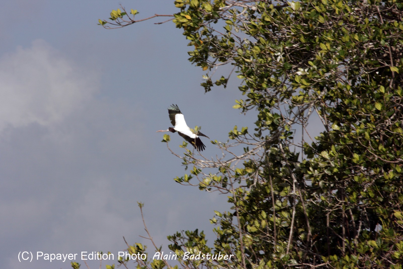 Images_Belize_2011_099