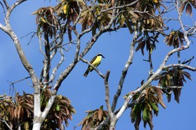 Images_Belize_2011_078