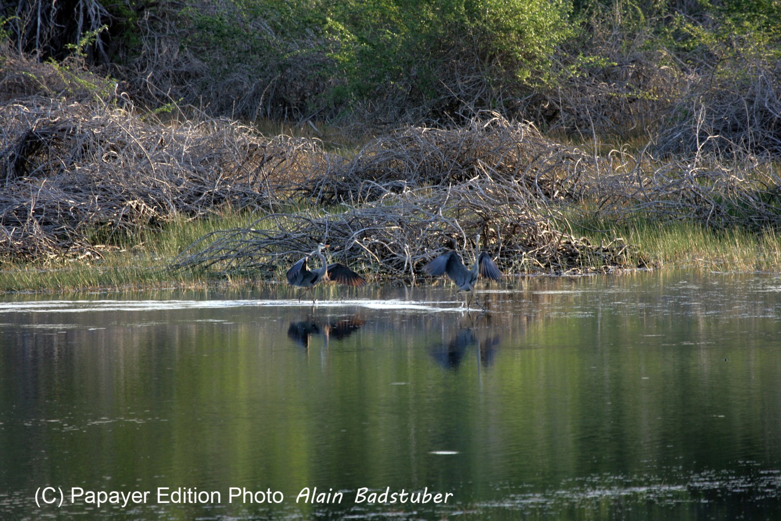 Images_Belize_2011_300