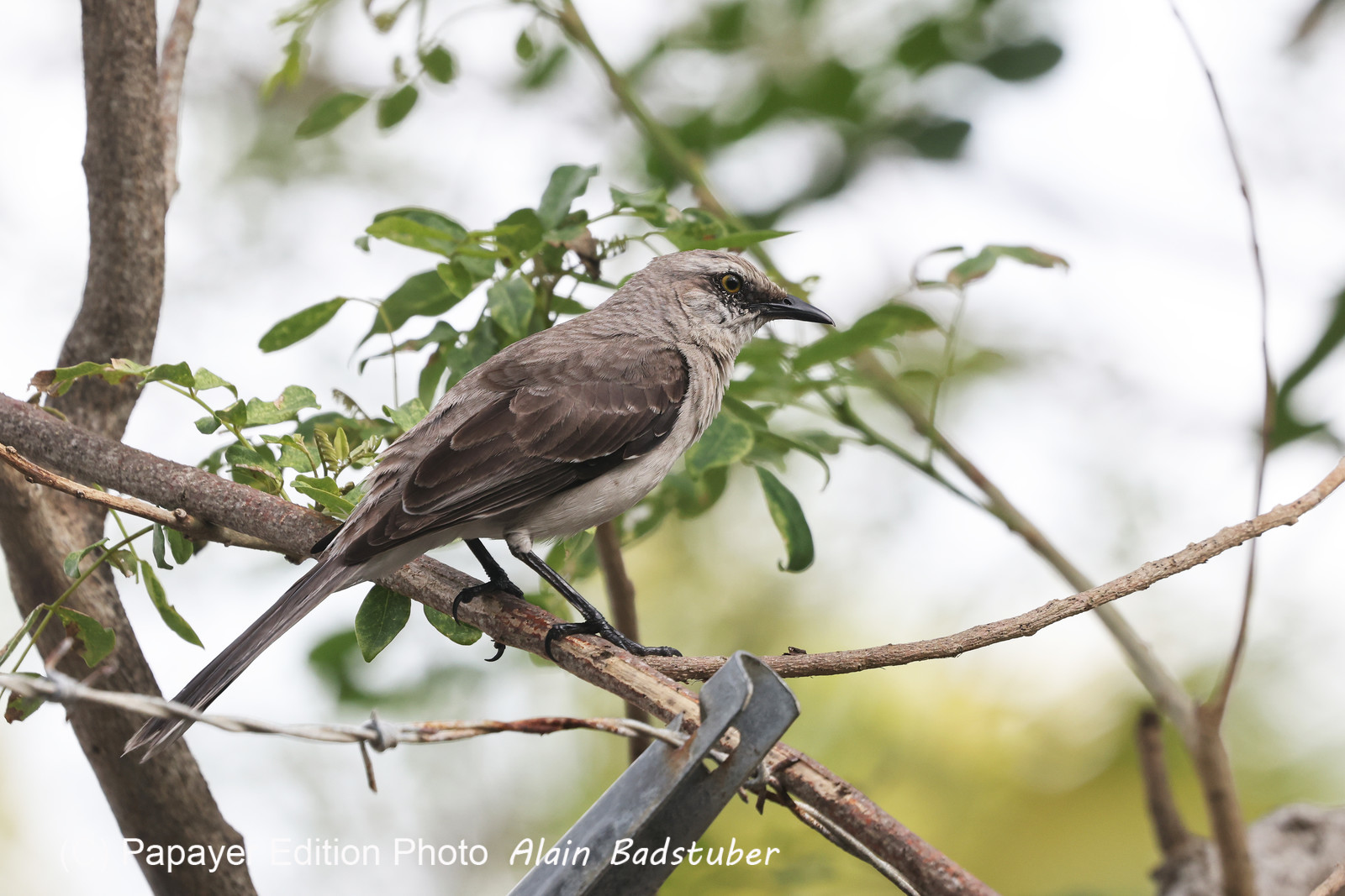 Punta Culebra Nature Center