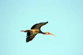 Images_Belize_2011_220