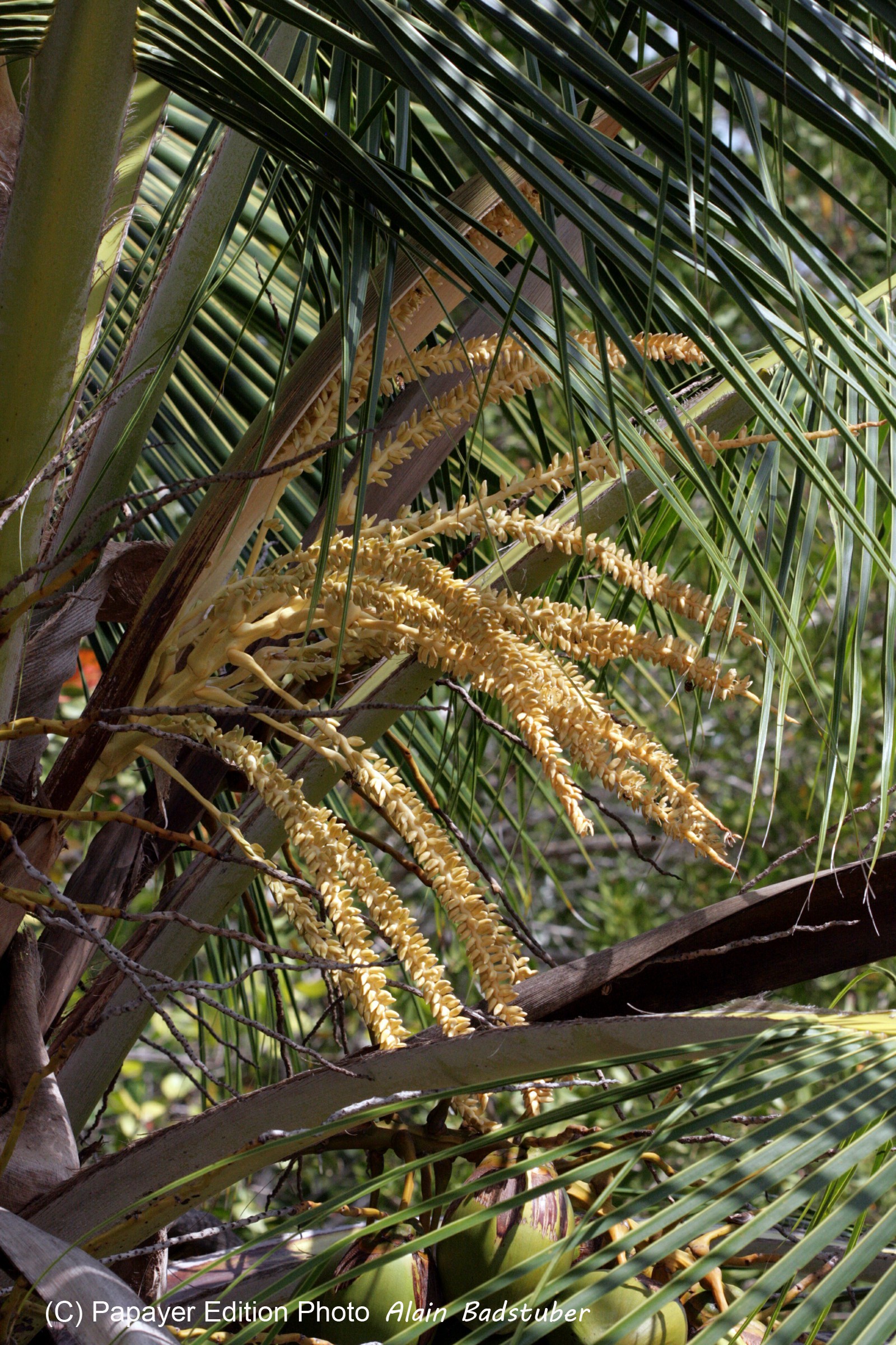 Images_Belize_2011_159