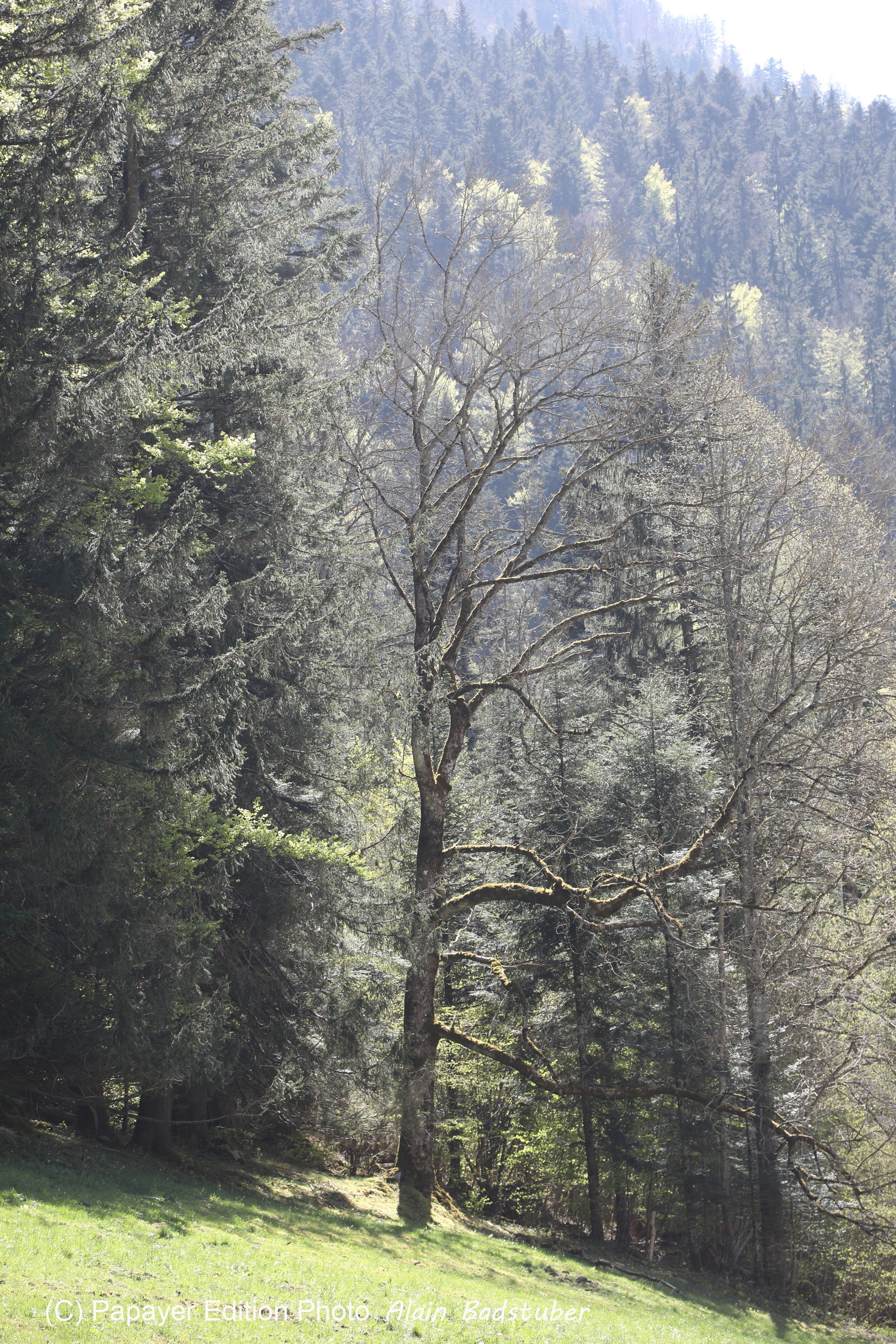 Ma balade du premier mai 2019