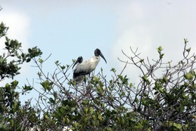 Images_Belize_2011_105