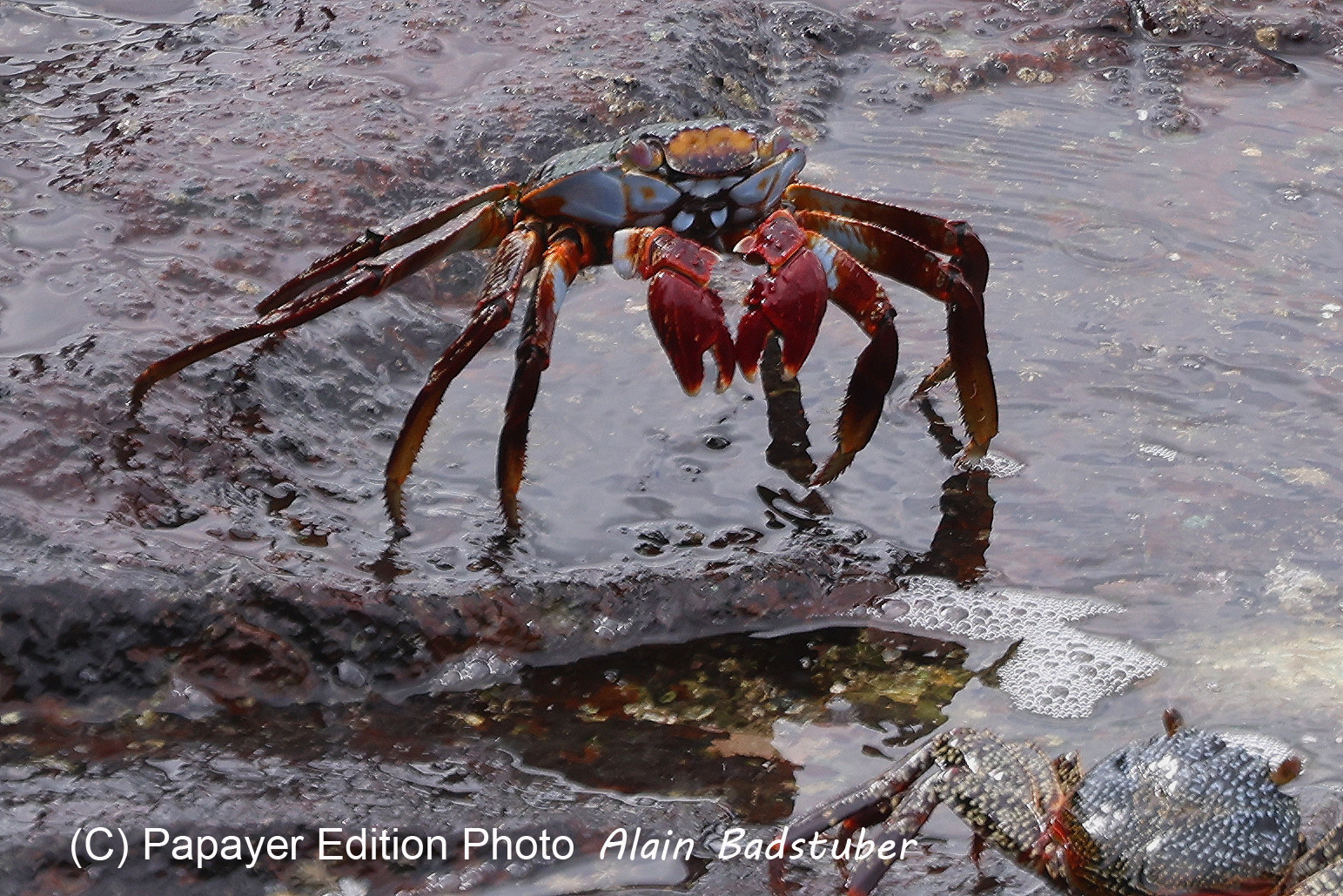 Punta Culebra Nature Center