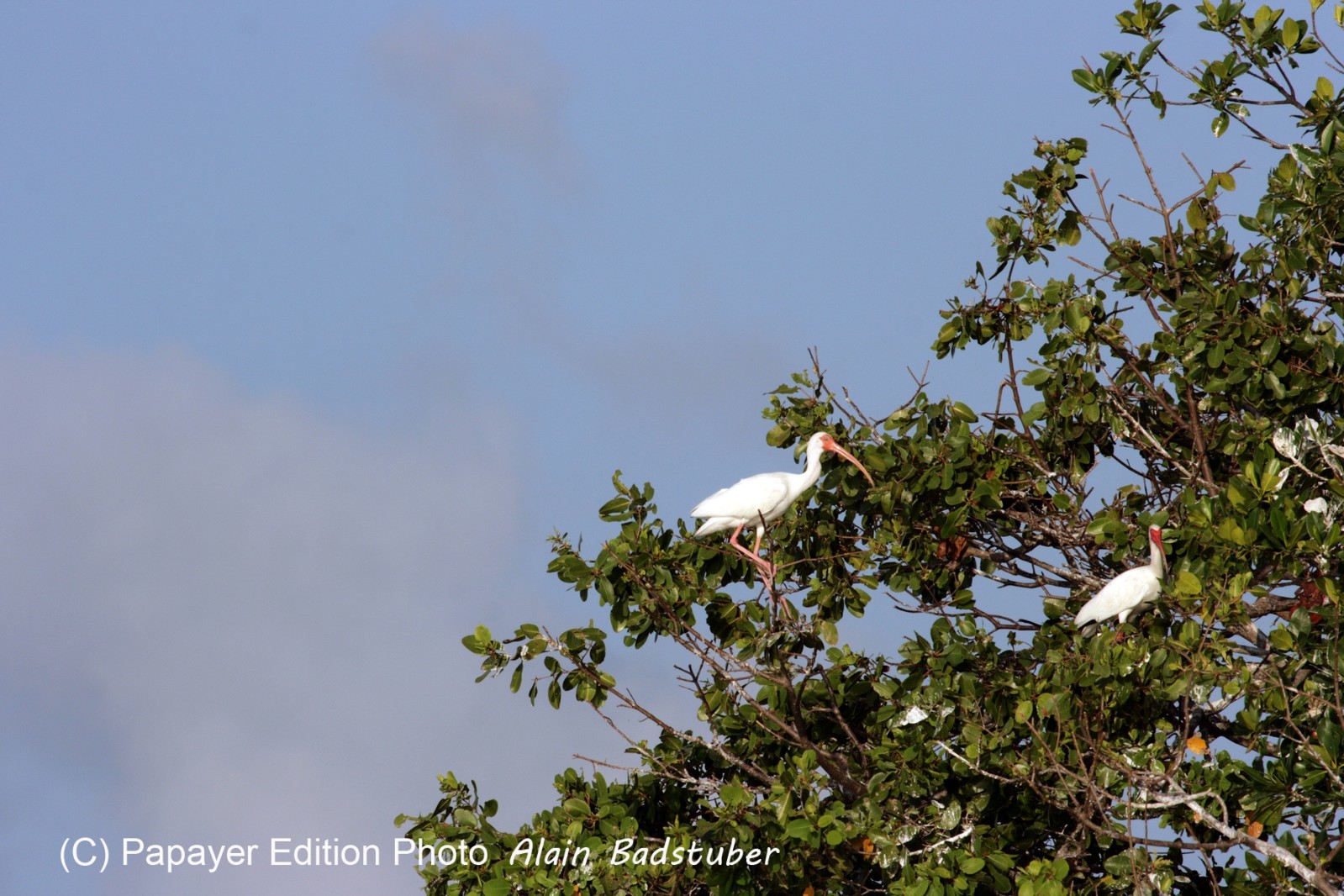 Images_Belize_2011_211