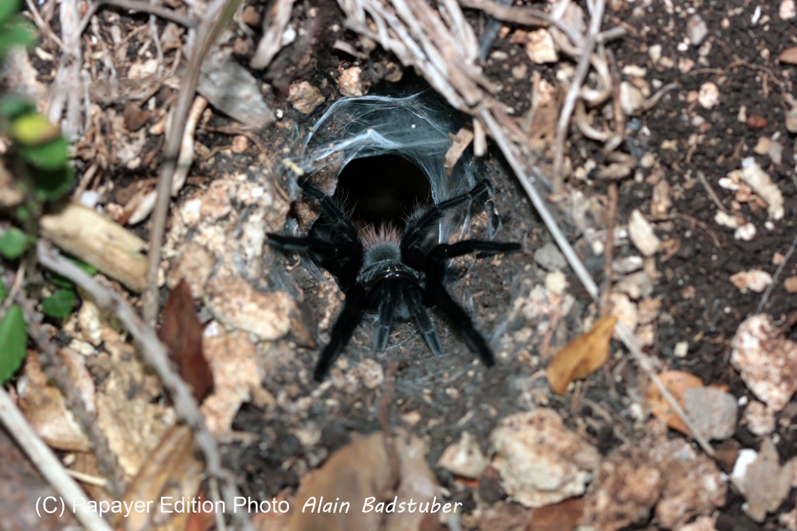 Images_Belize_2011_332