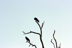 Images_Belize_2011_351