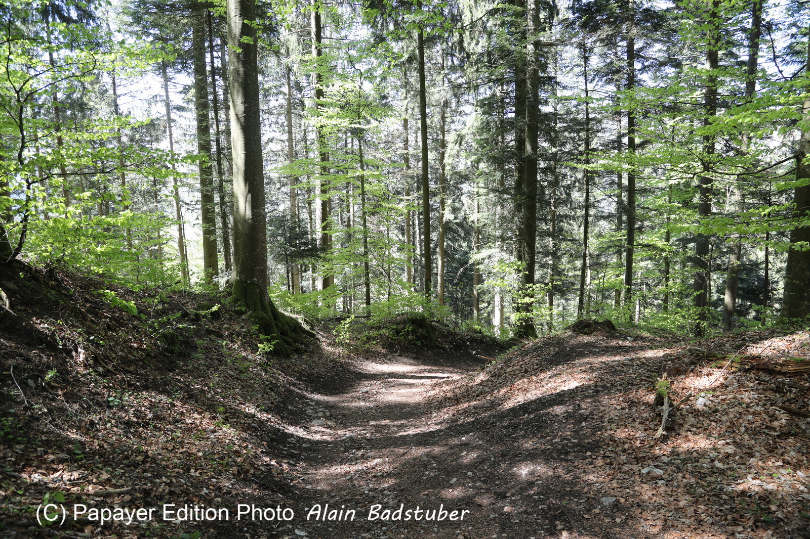 Ma balade du premier mai 2019 Ma balade du premier mai 2019