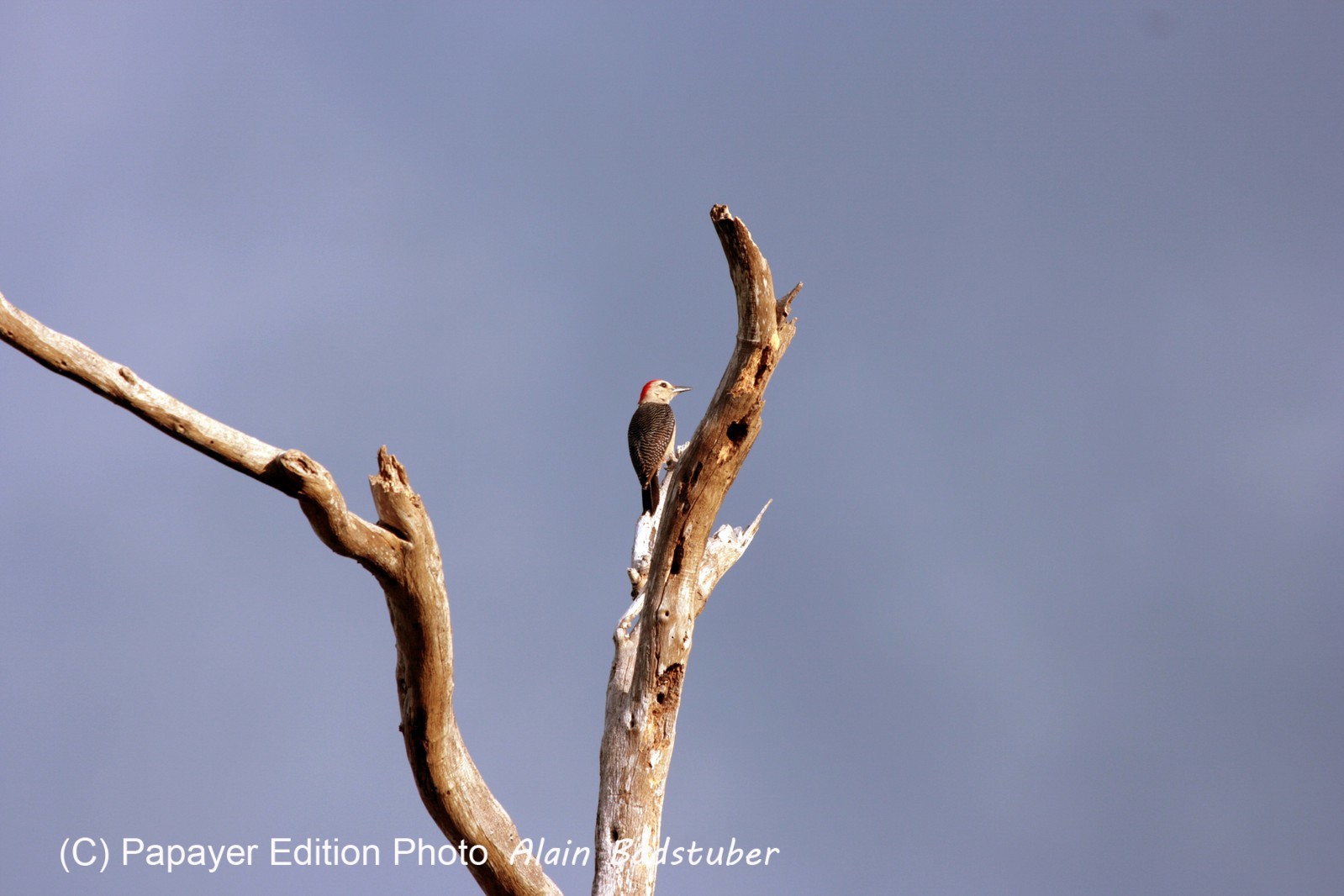 Images_Belize_2011_338