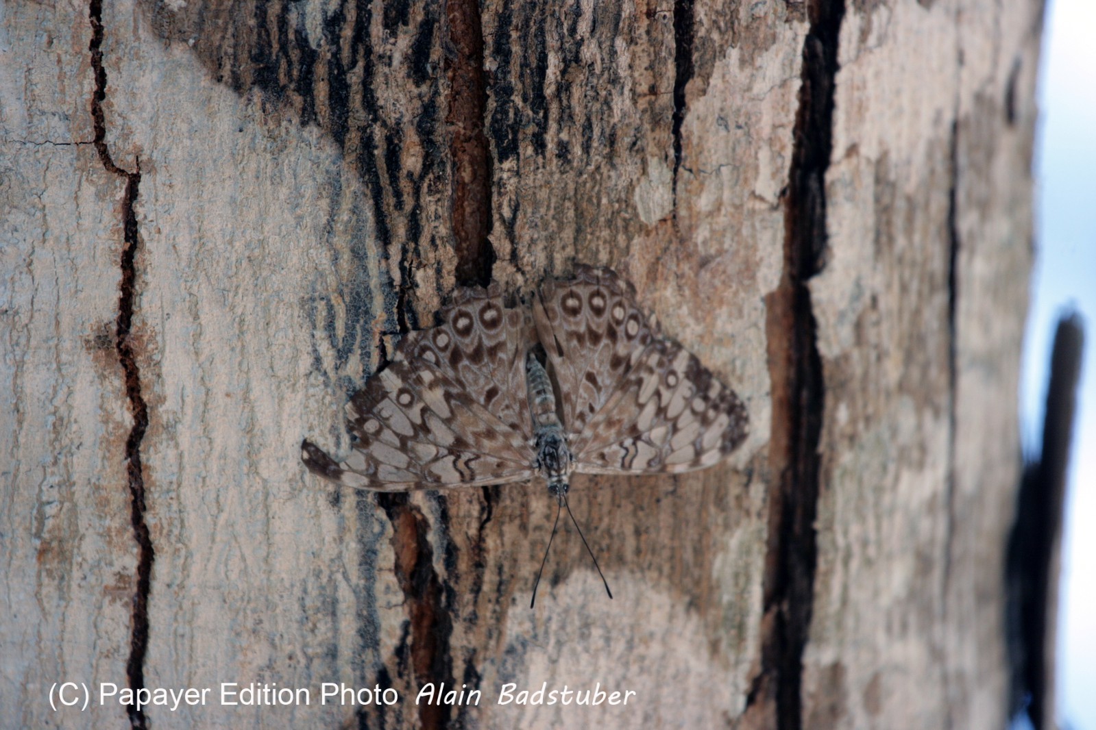 Images_Belize_2011_044