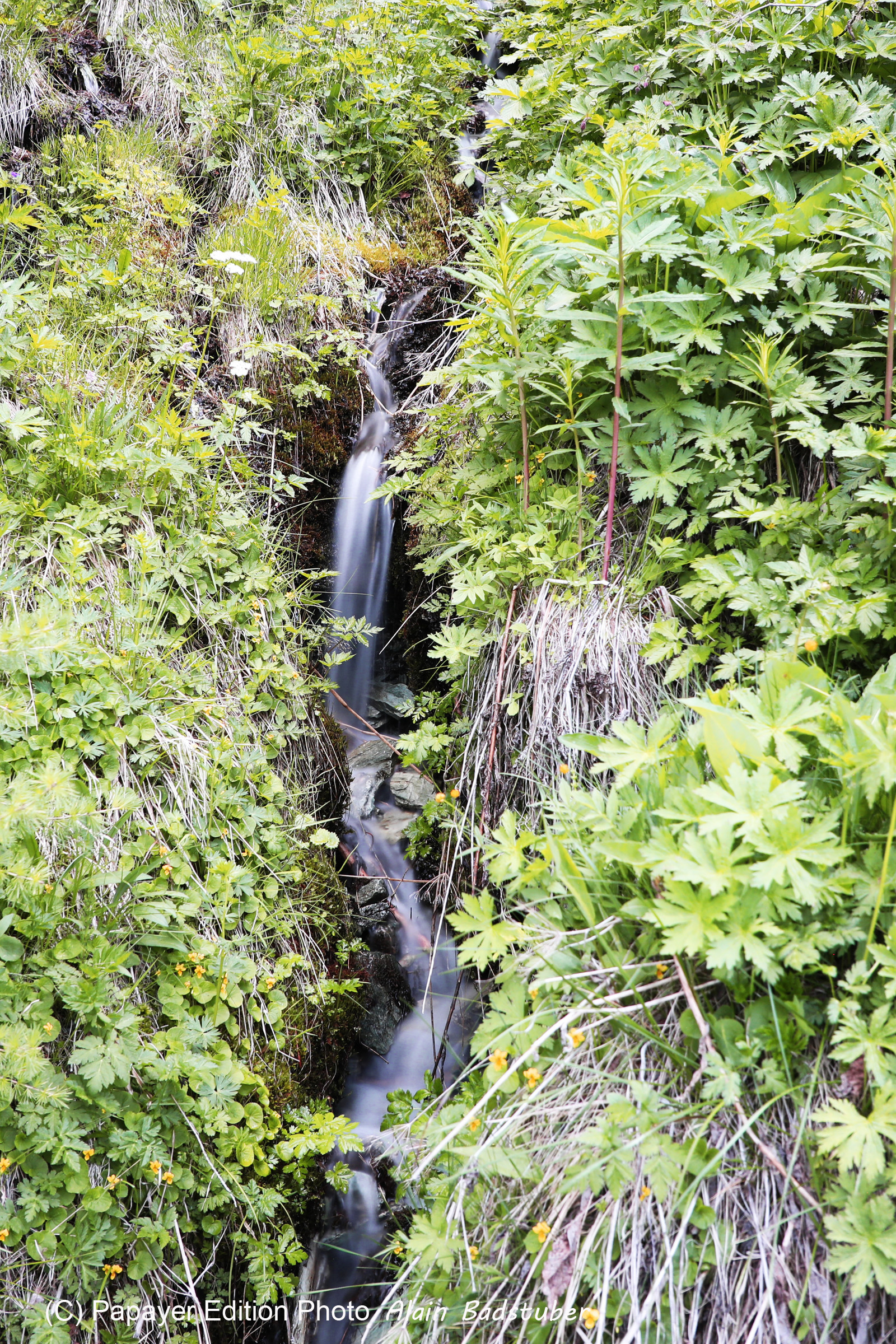 Pas de vent, mais d'autres photos !