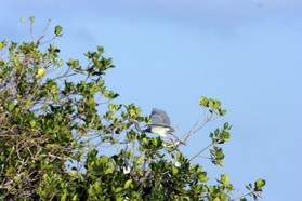 Images_Belize_2011_217